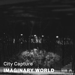 Imaginary World