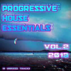 Progressive House Essentials 2013 Vol.2