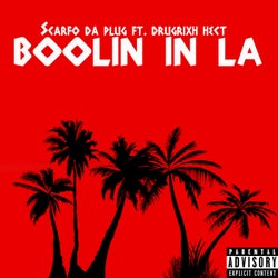 Boolin in LA