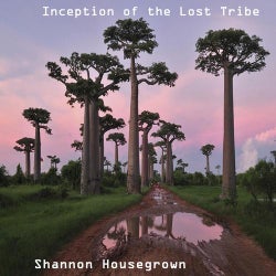 Inception Of The Lost Tribe