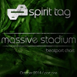 Spirit Tag - Massive Stadium - October 2014