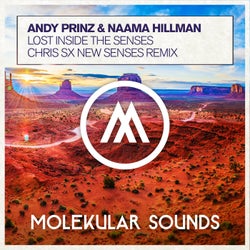 Lost Inside The Senses (Chris SX New Senses Remix)
