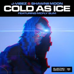 Cold As Ice Ft. McFly Slim