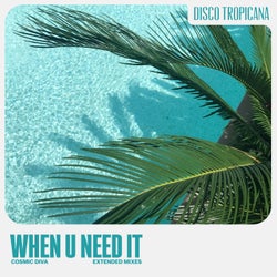When U Need It (Extended Mixes)