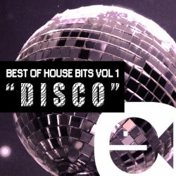 Best of House Music Bits Vol 1 - Disco