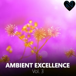 Ambient Excellence, Vol. 3