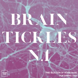 Brain Tickles N. 1 (Fine Selection of House Music for Experts Only)