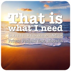 That Is What I Need - Chill House Mix