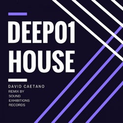 Deep House 01