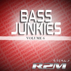 Bass Junkies 6