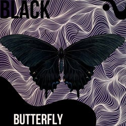 Black Butterfly