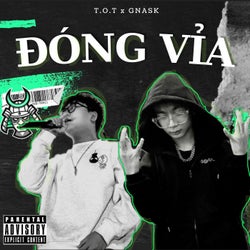 Đóng Vỉa