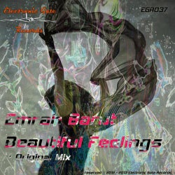 Beautiful Feelings