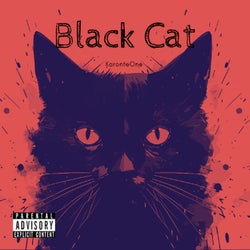 Black Cat