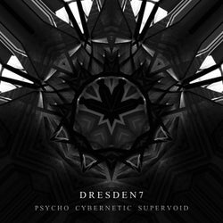 Psycho Cybernetic Supervoid