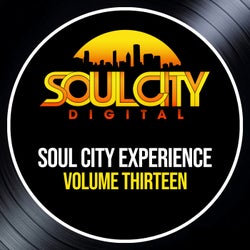 Soul City Experience, Vol. 13