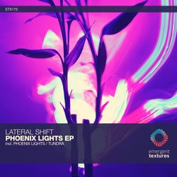 Phoenix Lights