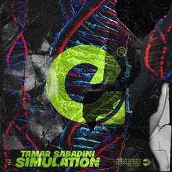 Simulation (Original Mix)