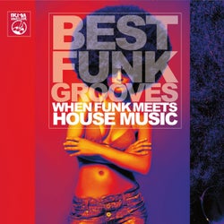 Best Funk Grooves (When Funk Meets House Music)