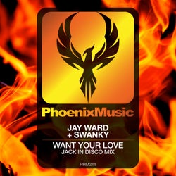 Want Your Love (Jack In Disco Mix)