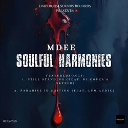 Soulful Harmonies