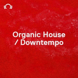 NYE Essentials: Organic House / Downt.