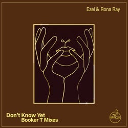 Don't Know Yet (Booker T Mixes)