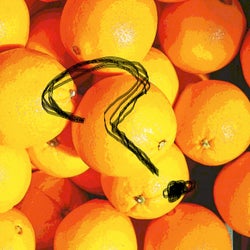 Oranges