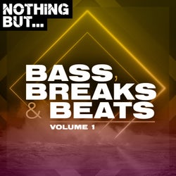 Nothing But... Bass, Breaks & Beats, Vol. 01