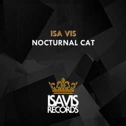 Nocturnal Cat