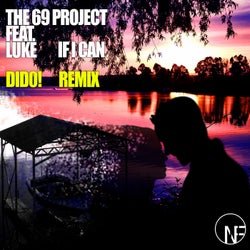 If I Can (Did0! Remix) (feat. Luke)