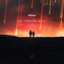 No Turning Back (feat. HeroKiller)