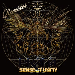 Sense of Unity Remixes