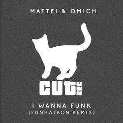 I Wanna Funk(Funkatron Remix)