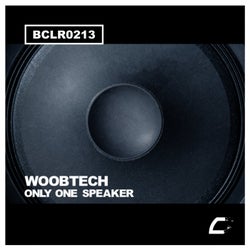 Only One Speaker