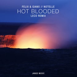 Hot Blooded (Leco Remix)