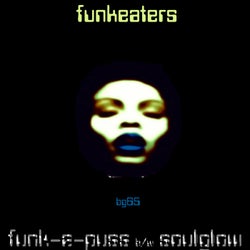 Funk-a-Puss