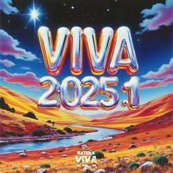 VIVA 2025.1