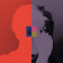 I Can't Forget You (Remixes)