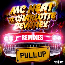 Pull Up (Remixes) feat. Charlotte Devaney