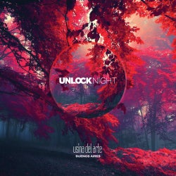 Unlock Night - Usina Del Arte