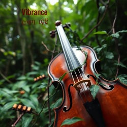 Vibrance
