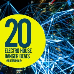 20 Electro House Banger Beats Multibundle
