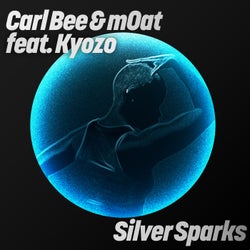 Silver Sparks