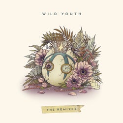 Wild Youth (The Remixes)