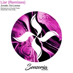 Liar Remixes