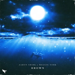 Drown (ft. Meggie York)