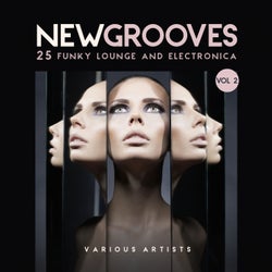 New Grooves, Vol. 2 (25 Funky Lounge & Electronica)