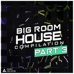 Big Room Compilation House, Pt. 3