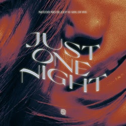 Just One Night (Extended Mix)